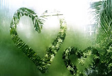 我的2018天涯论坛装修日记