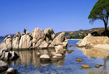 快乐分享：荨麻疹天涯论坛中的病友聚会（标题，10字以内）